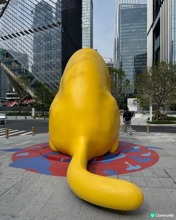 深圳萬象城藝術品打卡位🐱