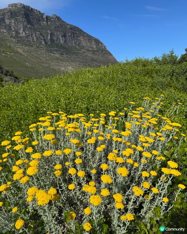 Cape Town