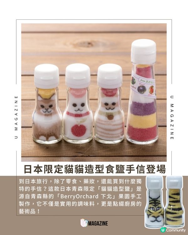 日本青森限定「貓貓造型鹽」：職人純手工打造的餐桌療癒選物！