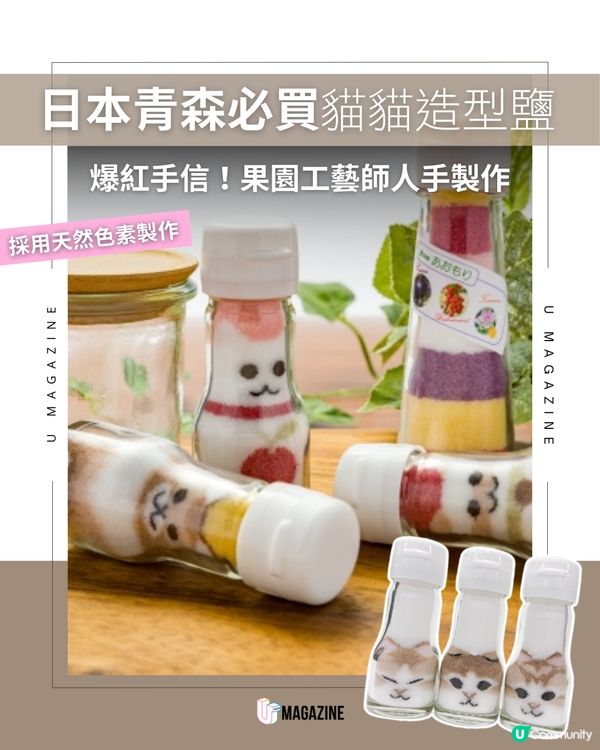 日本青森限定「貓貓造型鹽」：職人純手工打造的餐桌療癒選物！