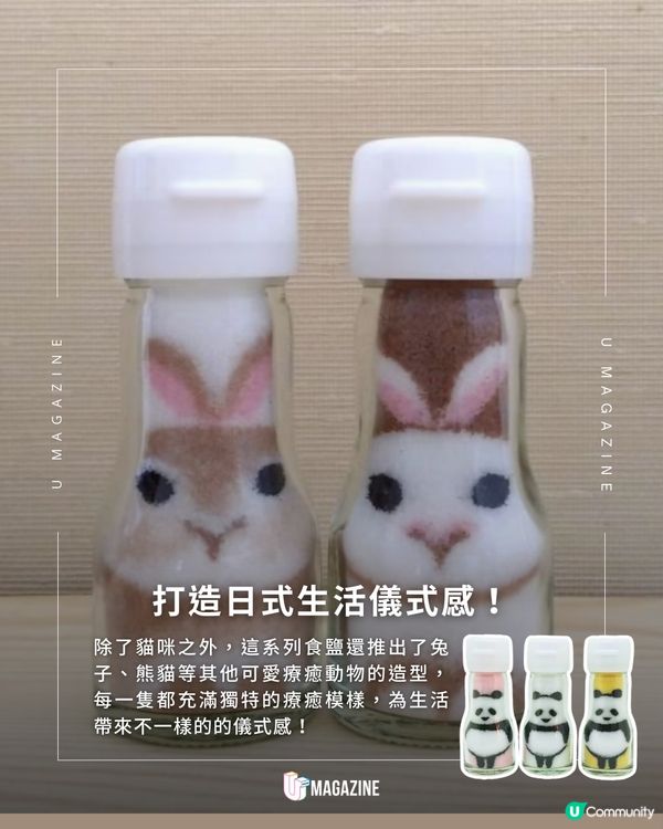 日本青森限定「貓貓造型鹽」：職人純手工打造的餐桌療癒選物！