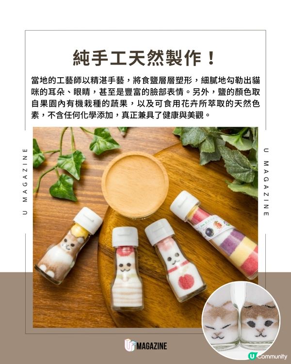 日本青森限定「貓貓造型鹽」：職人純手工打造的餐桌療癒選物！