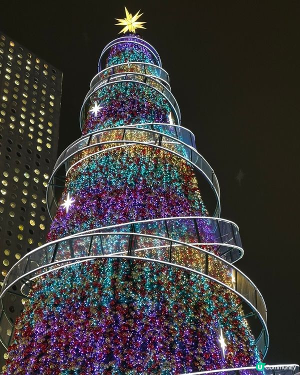 中環聖誕樹勁靚！🎄✨ 繽紛冬日巡禮打卡📸！