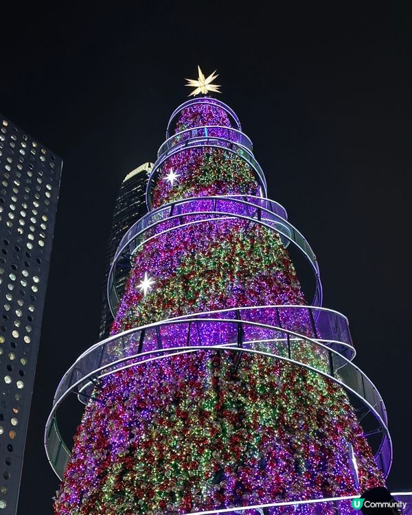 中環聖誕樹勁靚！🎄✨ 繽紛冬日巡禮打卡📸！