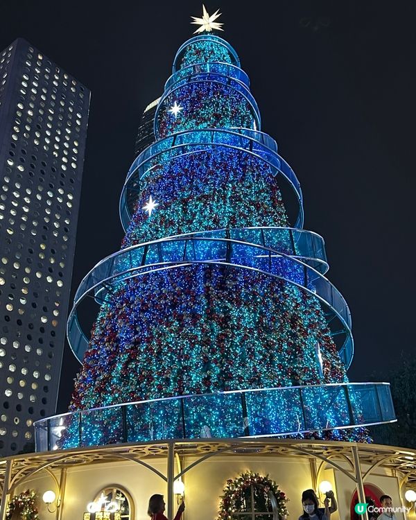 中環聖誕樹勁靚！🎄✨ 繽紛冬日巡禮打卡📸！