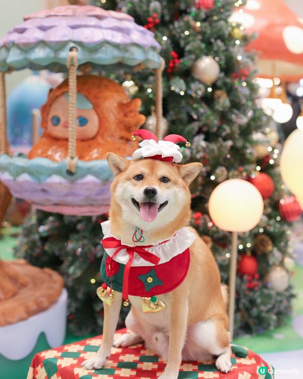 PUCKY 聖誕奇幻森林 🎄🍄