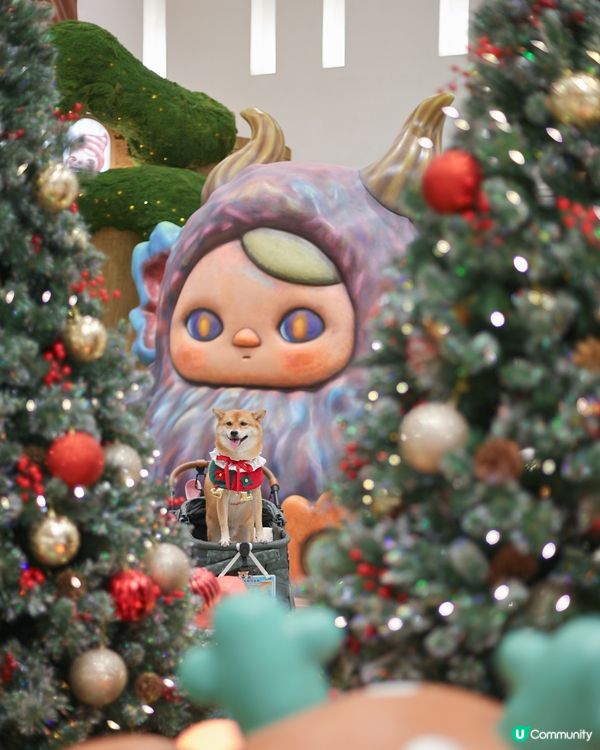 PUCKY 聖誕奇幻森林 🎄🍄