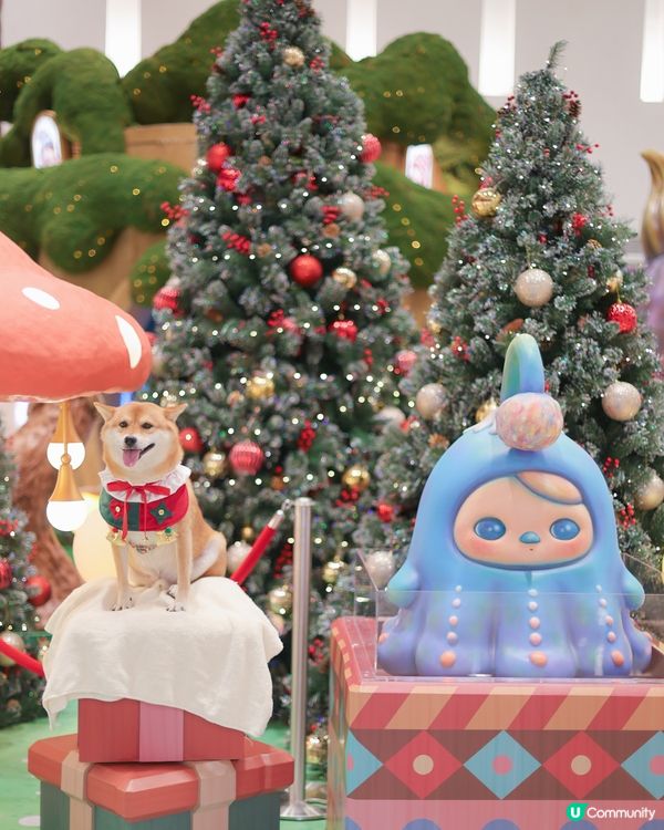 PUCKY 聖誕奇幻森林 🎄🍄