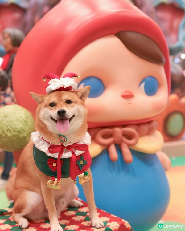 PUCKY 聖誕奇幻森林 🎄🍄