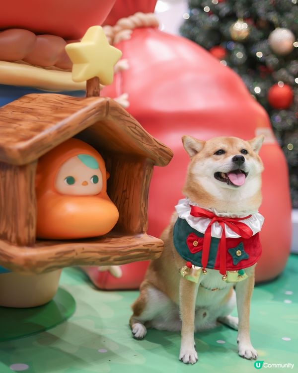 PUCKY 聖誕奇幻森林 🎄🍄