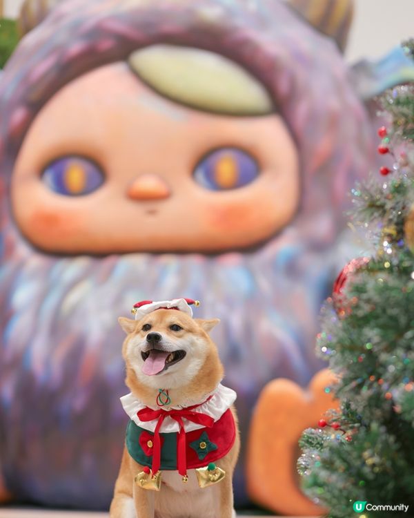 PUCKY 聖誕奇幻森林 🎄🍄