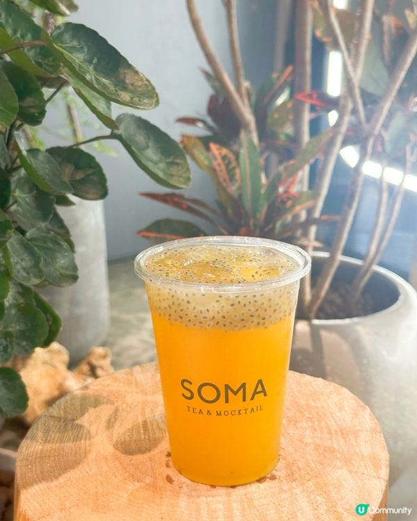 台灣茶飲殺到尖咀！🥇 奶茶控必試！😋