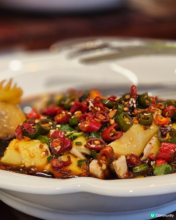 📍【環島中港通 × 深圳福朋喜來登酒店開箱】