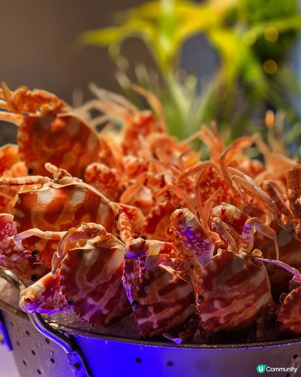 📍【環島中港通 × 深圳福朋喜來登酒店開箱】