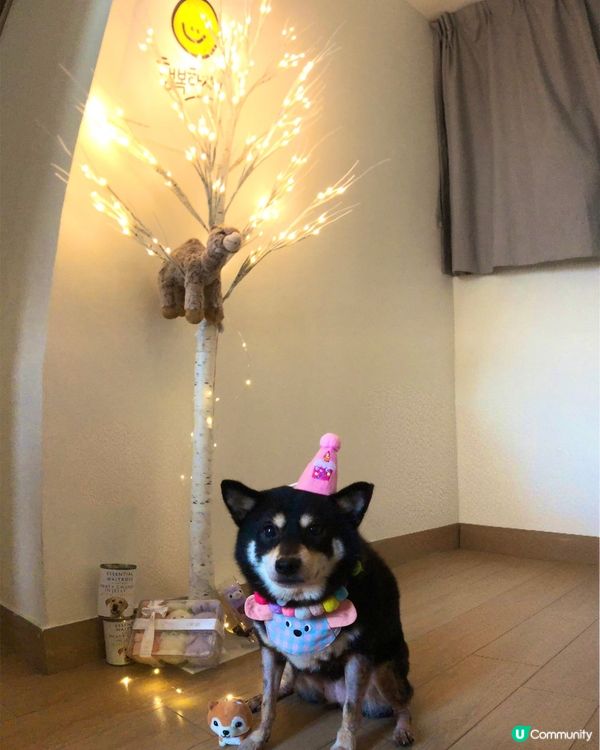 又到聖誕🧑🏻‍🎄
