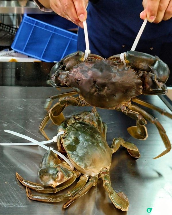 探尋城中小店，在福田村找得到味潮汕美食🫶🏻 潮汕美食以鮮