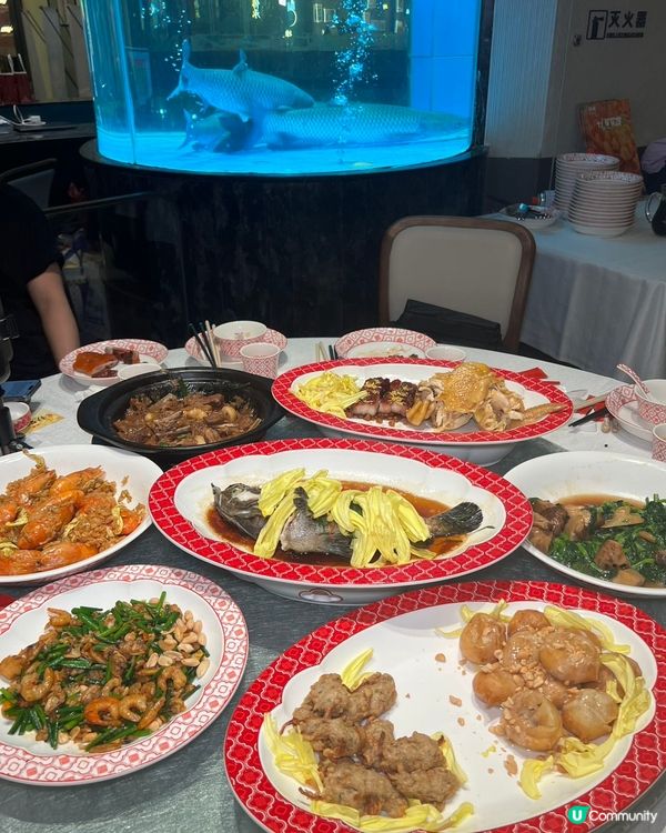 【40年非遺菊花宴🤤】深圳覓食記！