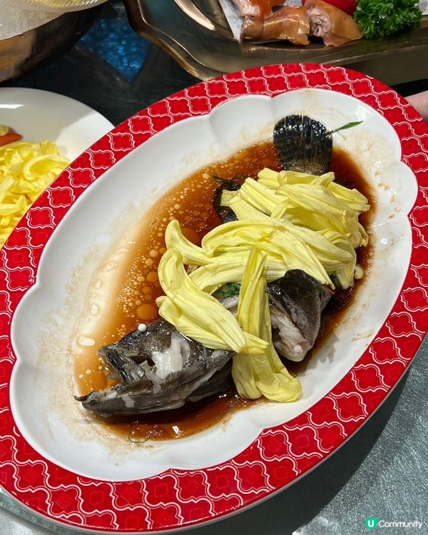 【40年非遺菊花宴🤤】深圳覓食記！