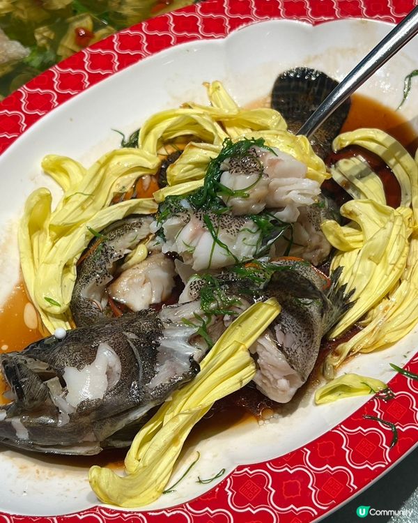 【40年非遺菊花宴🤤】深圳覓食記！