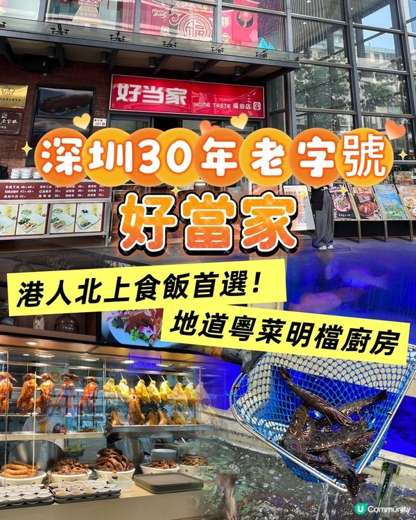 【深圳老字號好當家🤤】港人北上食飯首選！地道粵菜😋