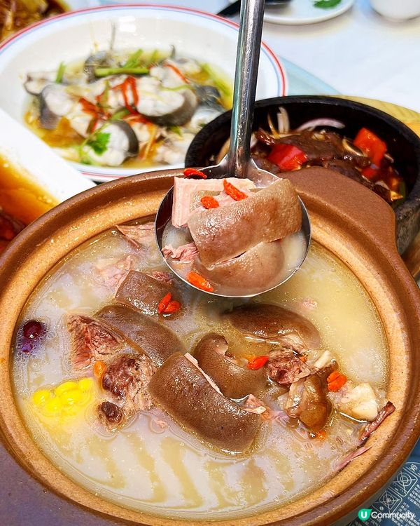 【深圳老字號好當家🤤】港人北上食飯首選！地道粵菜😋