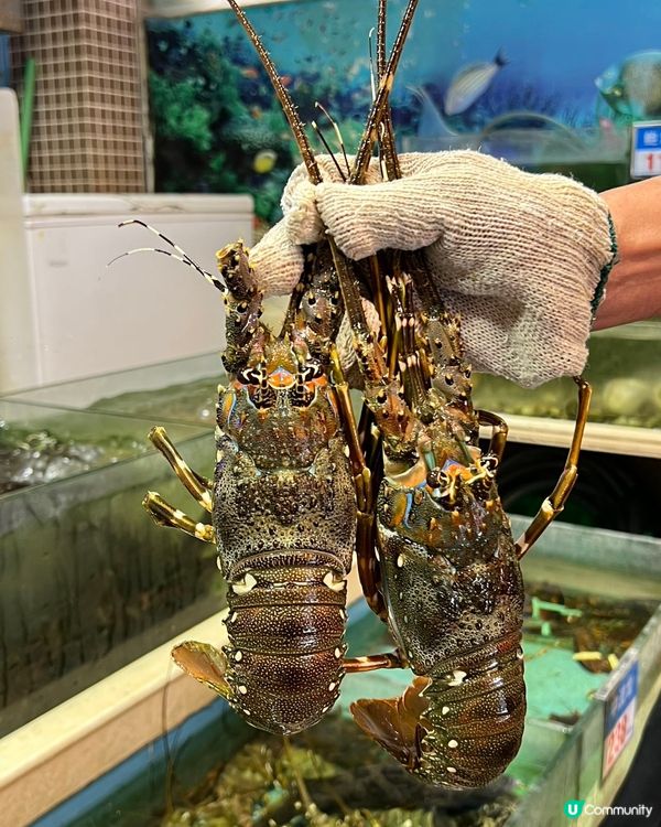 【深圳老字號好當家🤤】港人北上食飯首選！地道粵菜😋