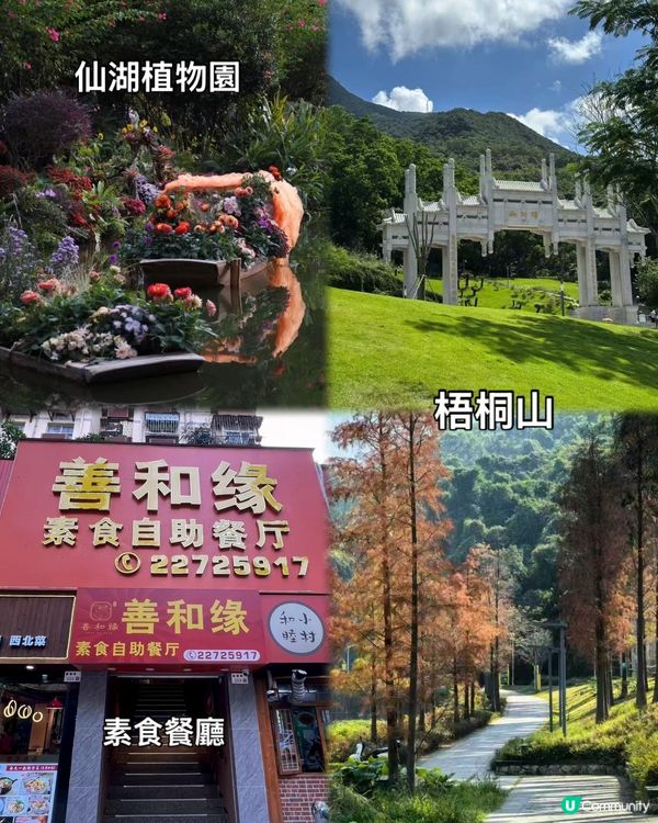 蓮塘口岸按摩攻略！🤤 爽到瞓著覺！😴