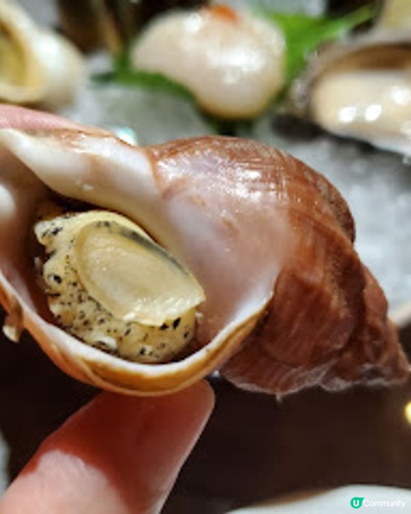 Oyster House．蠔迷注意！浪漫高層食蠔記