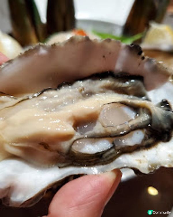 Oyster House．蠔迷注意！浪漫高層食蠔記