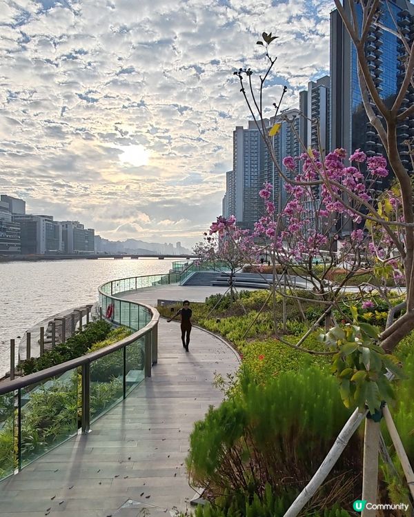 早晨，各位香港人
