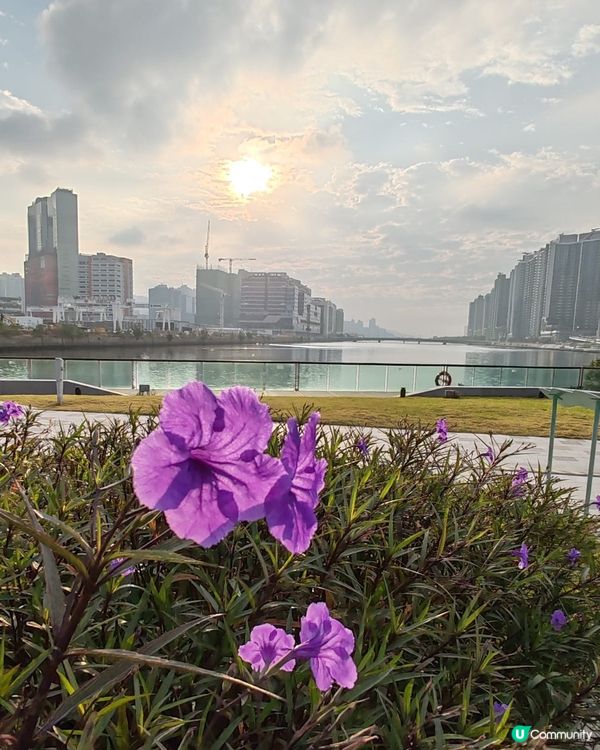 早晨，各位香港人