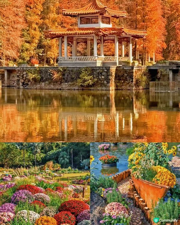 週末唔去東門？深圳隱世行程勁正！🏞️