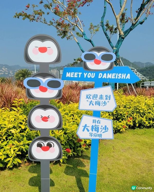 大梅沙