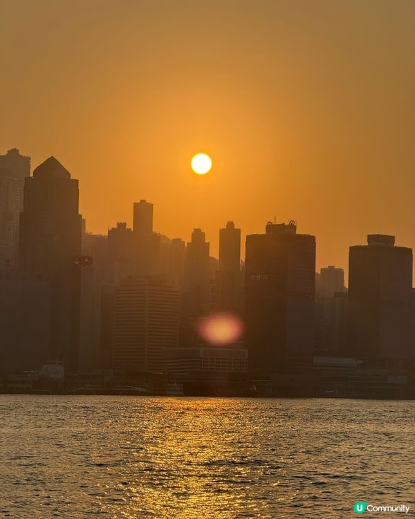 迪士尼好友尖沙咀報到！🎄 9米高聖誕樹打卡影相📸