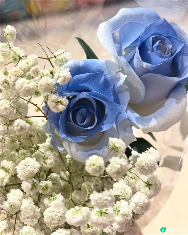 深圳版釜山小火車🚂！日落海景超靚🌅！10蚊玩到🥳！