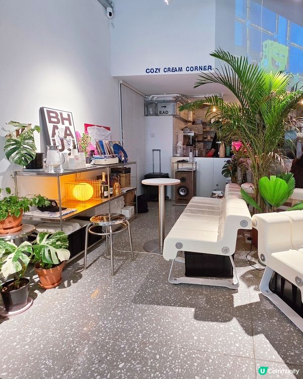 大角咀韓風Cafe！寵物友善餐廳🐶