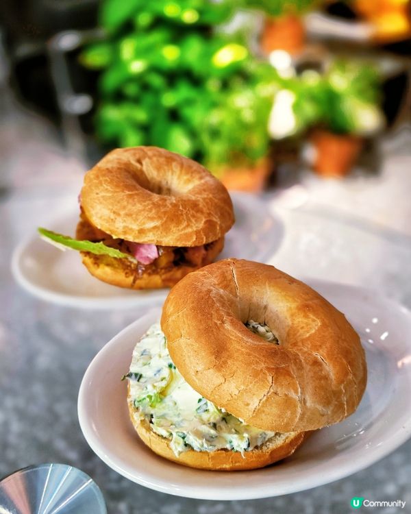 大角咀韓風Cafe！寵物友善餐廳🐶