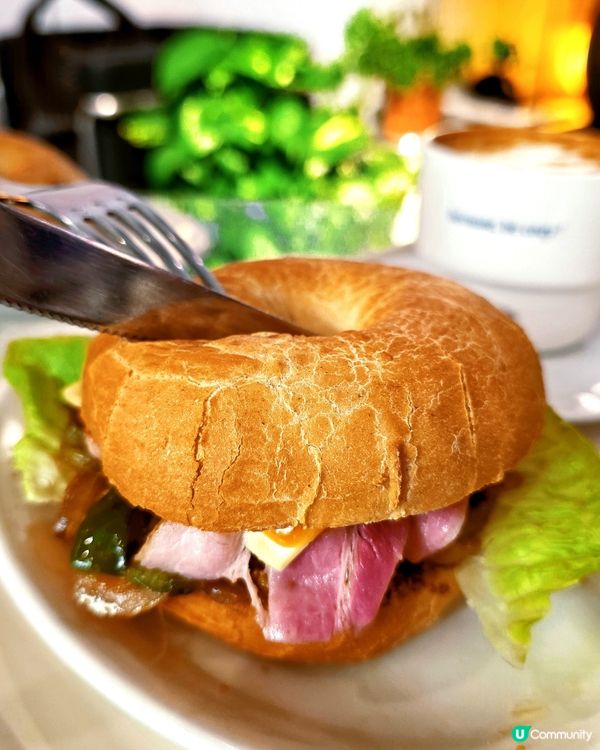 大角咀韓風Cafe！寵物友善餐廳🐶