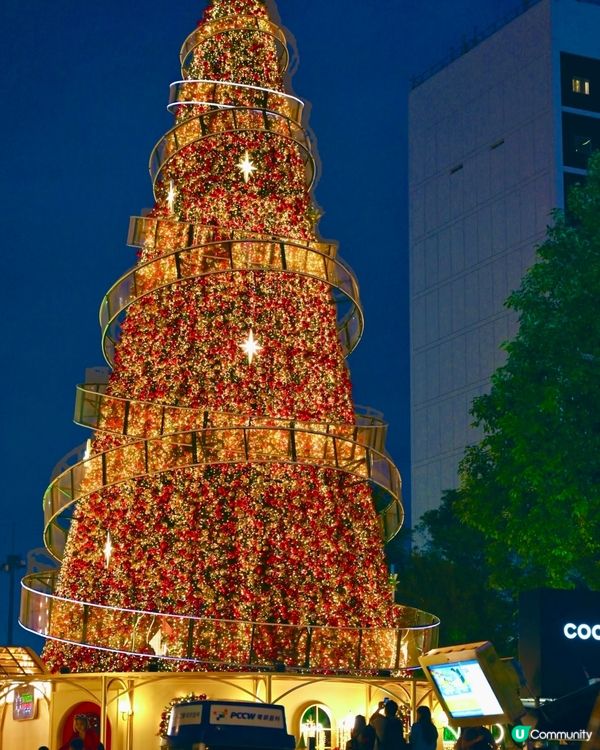中環冬日小鎮回歸！20米巨樹🎄打卡📸