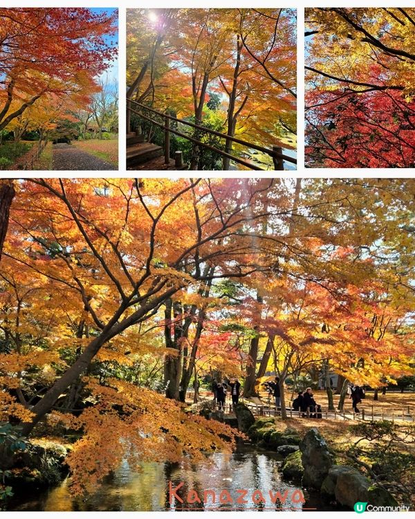 金澤古城巡禮🏯！江戶風情滿載🤩