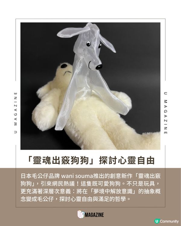 日本爆紅熟睡小狗毛公仔的療癒故事！