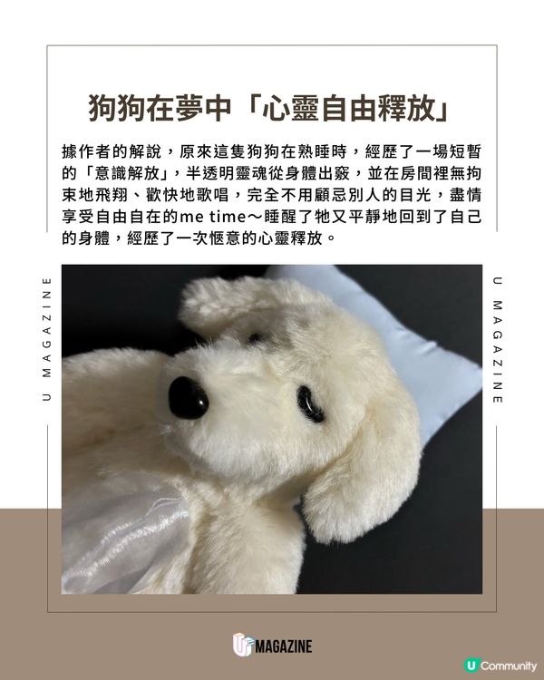 日本爆紅熟睡小狗毛公仔的療癒故事！