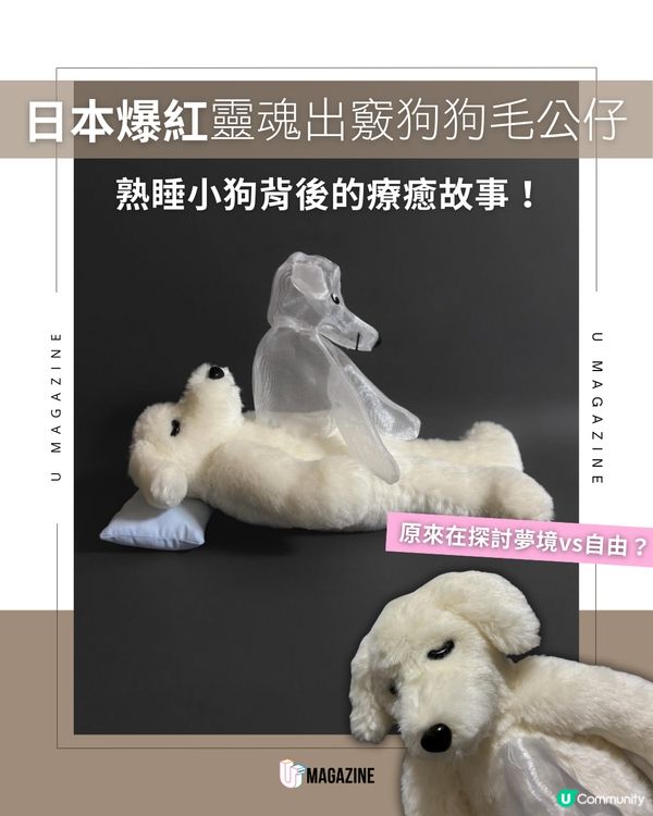 日本爆紅熟睡小狗毛公仔的療癒故事！