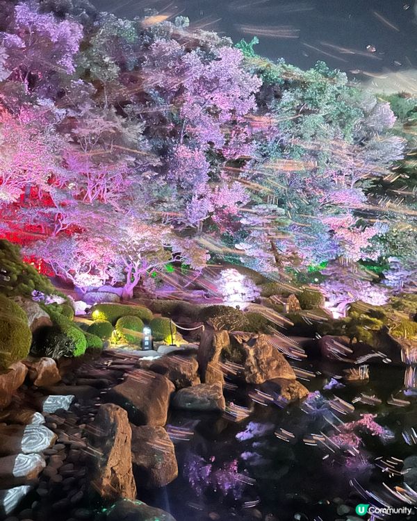 🇯🇵福岡夜景打卡必到🌕「宙SORA」-2025最新🎯