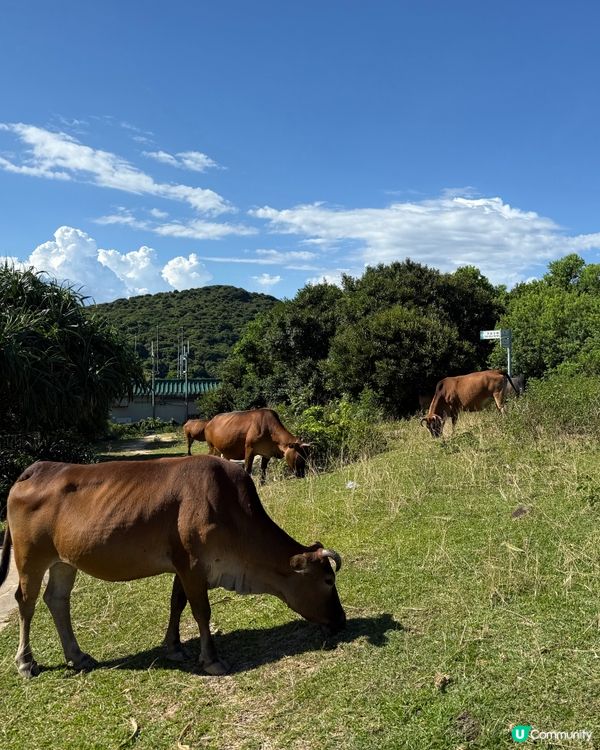 塔門一日遊｜寧靜小漁村