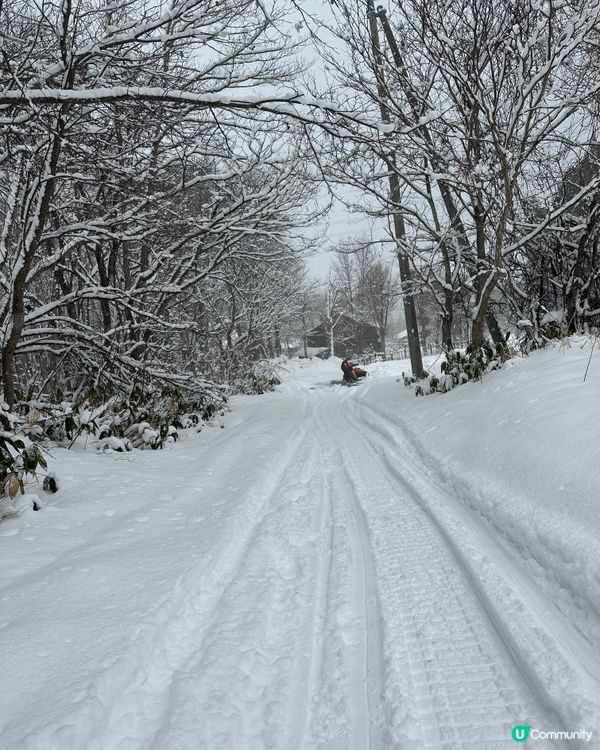 冰天雪地好去處