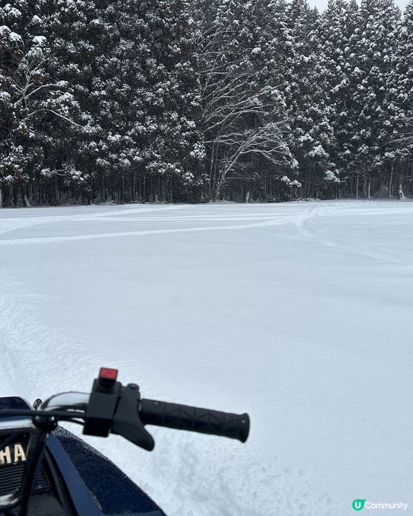 冰天雪地好去處