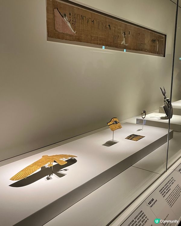埃及展覽
