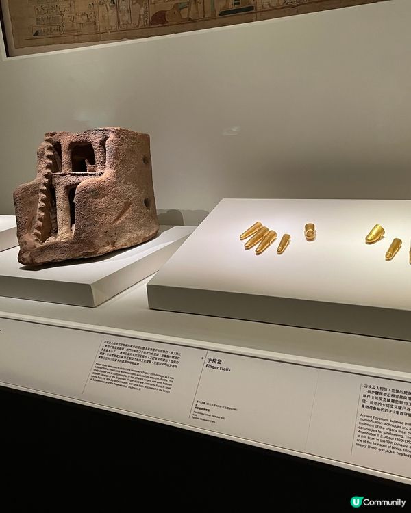 埃及展覽