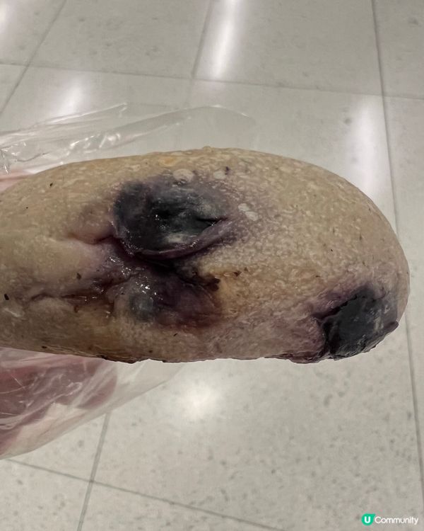 $8一個Bagel ？！💰仲抵過唐記包點